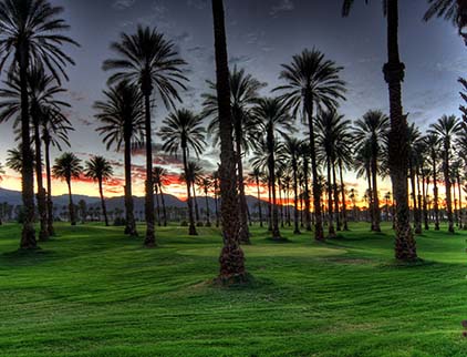 The Palms Country Club